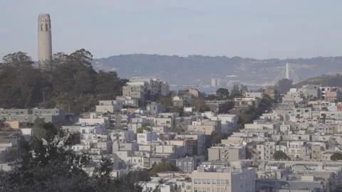 Long Shot of Coit Tower, Bus, and the East Bay Over North Beach Stock Footage 239598916