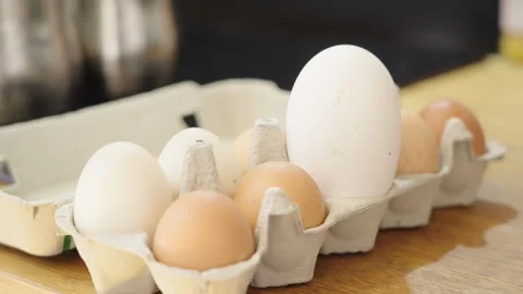 Long shot of a egg box in kitchen with a single large egg standing out Stock Footage 332720434