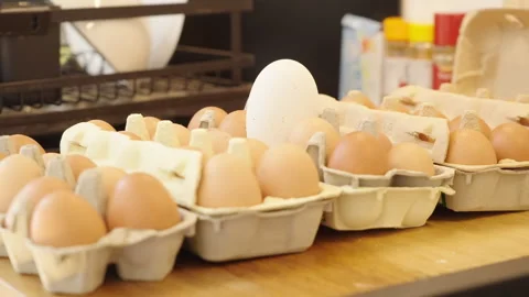 Long shot of a egg box in kitchen with a single large egg standing out Stock Footage 332720518