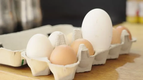 Long shot of a egg box in kitchen with a single large egg standing out Stock Footage 332720555