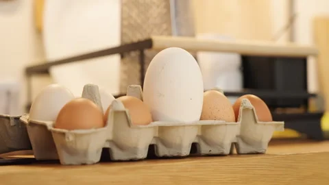 Long shot of a egg box in kitchen with a single large egg standing out 動画素材 332720670