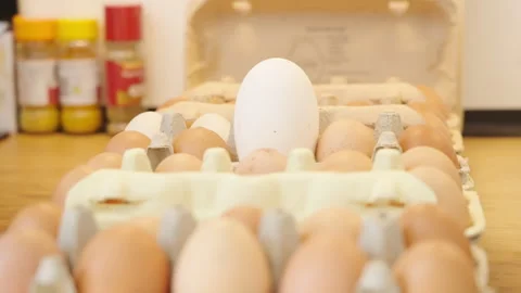 Long shot of a egg box in kitchen with a single large egg standing out Stock Footage 332720683