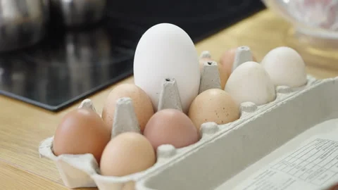 Long shot of a egg box in kitchen with a single large egg standing out Stock Footage 332720725