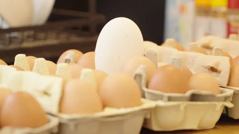 Long shot of a egg box in kitchen with a single large egg standing out Stock Footage 332720885