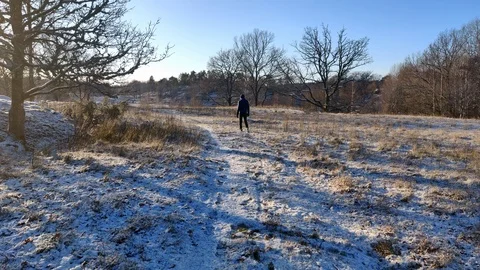 Long Shot of Guy Walking Relaxed in Nature a Snowy Winter Day 스톡 동영상 99534025