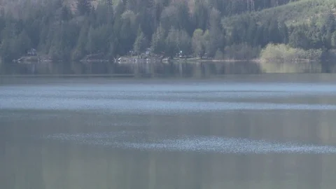 Long shot of lake and forest in distance Video stock 75247053