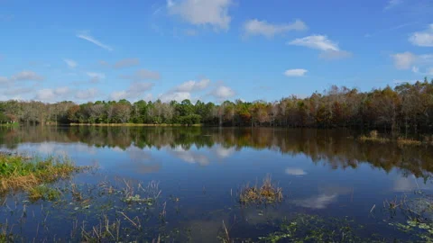 LONG SHOT LAKESCAPE Stock Footage 230052796