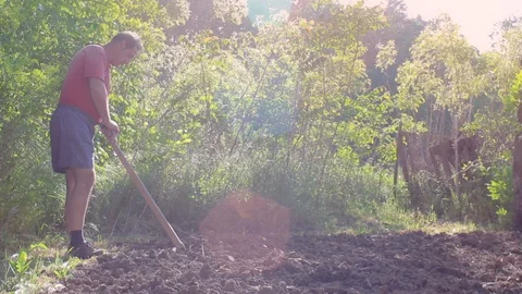 Long shot of a man digging the soil with hoe on sunset  Stock Footage 91922147