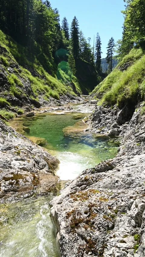Long shot of a mountain stream in summer, with a pond and rocks, vertical shot Video stock 260877737