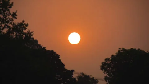 Long shot of a orange sunset with a bird flying in distance Stock Footage 248734416