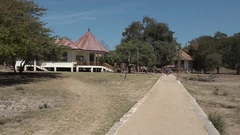 Long Shot pan left to right from trees to entrance buildings, Rinca Island Stock Footage 86783257