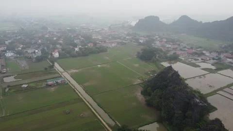 Long Shot of Rice Paddy Fields and Village Stock Footage 255029530