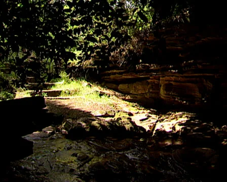 Long shot of rippling stream Stock Footage 36307706