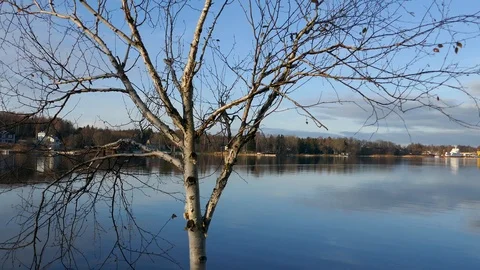 Long shot of river with reflection of forest and houses Mariehamn aland Finland Stock Footage 88880150