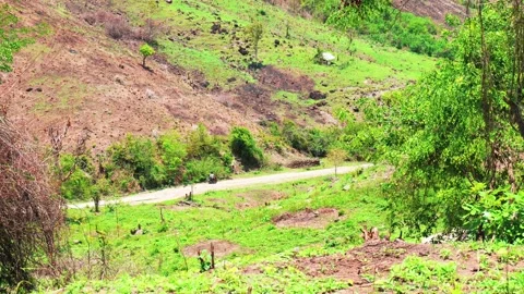 Long shot of scooter off roading Stock Footage 221304092