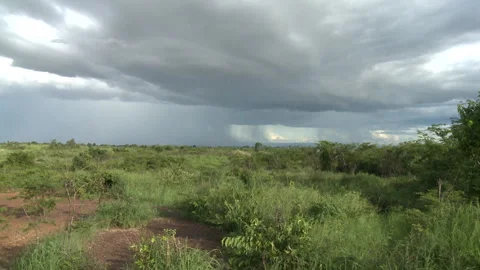 Long shot of a storm brewing over an open piece of land Stock Footage 310541561