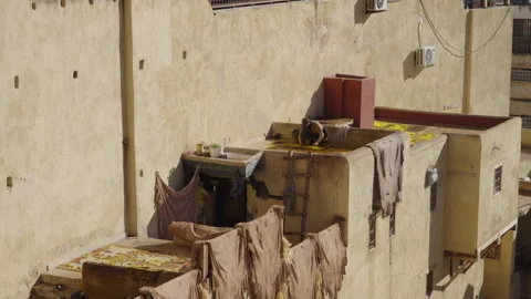 Long shot of tannery leather workers dyeing yellow leather in Fes Stock Footage 265475128