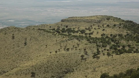 Long shot of trees in distance Stock Footage 104877313