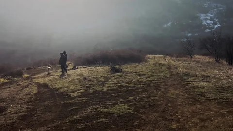 Long shot: two persons walking their dogs on a hill later autumn Video stock 231504746