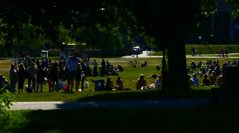 Long shot unrecognized crowd of people enjoying summer sunbathing in sun in park Stock Footage 64002664