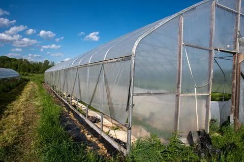 Long side view of organic vegetable greenhouse in sunny farm field Stock Photos