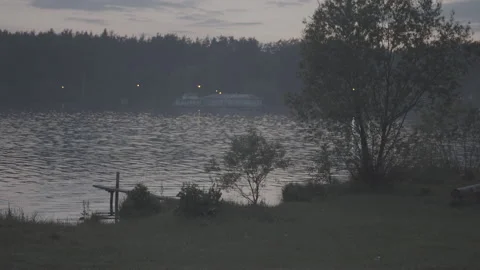 A long smooth drive through a gloomy dark forest with tall pine trees. along the Video stock 165837432