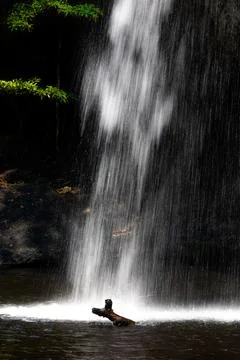 Long speed shutter technique of splashing waterfall drop on pond with dark .. Stock Photos