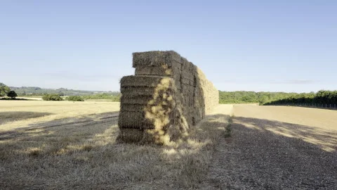 Long stack of rectangular hay bales panning Stock Footage 341829858