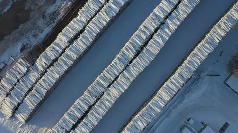 Long stacks of logs lying on the snow Stock Footage 169845085