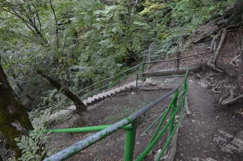 Long staircase in the forest Stock Photos