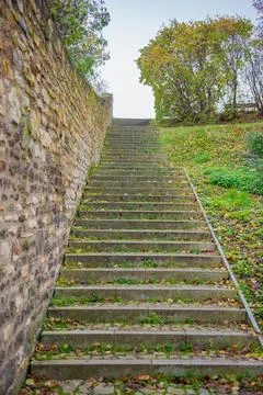 Long staircase, trees, stone wall, green grass Stock Photos
