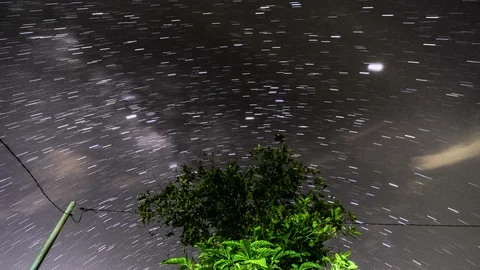 Long Startrail Timelapse Of Lonely Tree Stock Footage 92505294