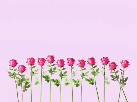 Long stem roses on pink background, 3d rendered Illustrazione stock