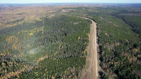 Long straight logging road through boreal forest, Alberta Vídeos de archivo 346847474