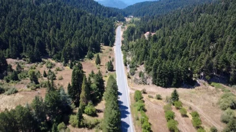 Long straight mountain road through fir forest with power poles Vídeo Stock 326353849