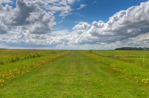 Long straight path through Dutch meadows Stock Photos
