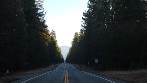 Long straight road with trees on either side. Stock Footage 99273299