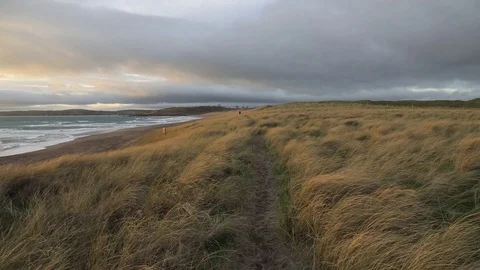 Long Strand Stock-Footage 103402237