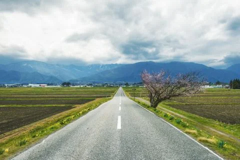 Long Stretch of Road Stock Photos