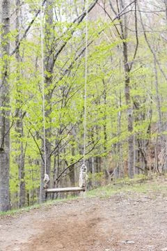 Long strings of swing Stock Photos