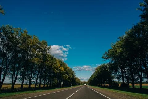 A long sunny road Stock Photos