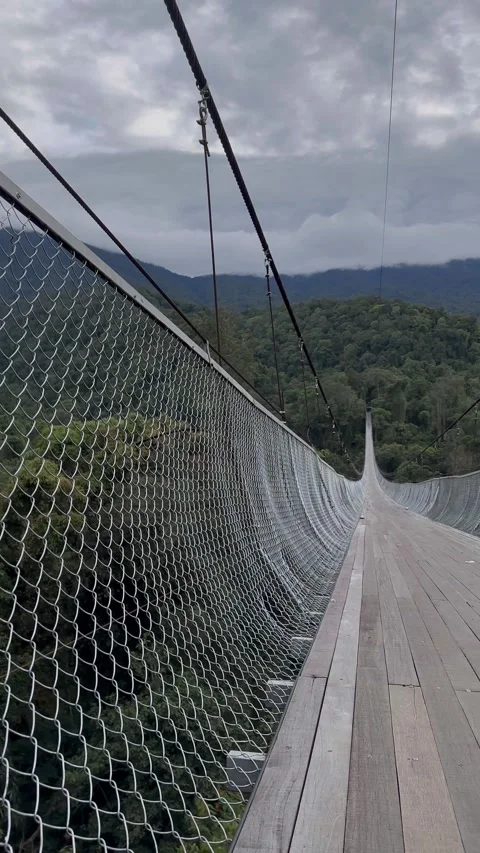 Long Suspension Bridge Over Forest, Perspective View, Vertical Shot Stock Footage 324500499