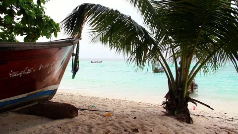 Long Tail Boat And Palm Tree Over The Beach, Lateral dolly camera Stock Footage 80274869