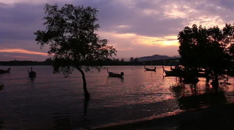 Long tail boat . Stock-Footage 64143535