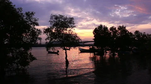 Long tail boat . Stock-Footage 64143688