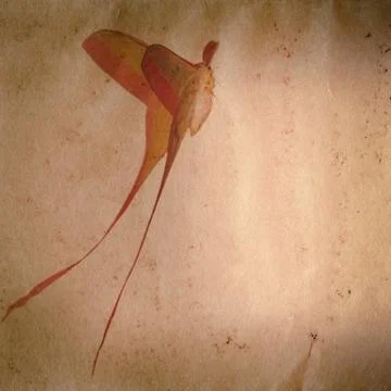 Long tail butterfly moth old grunge paper texture Stock Illustration