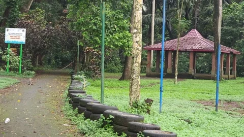 Long-Tailed Macaque At Telaga Buret Ecotourism Park In Tulungagung, Indonesia Vidéo 332967887