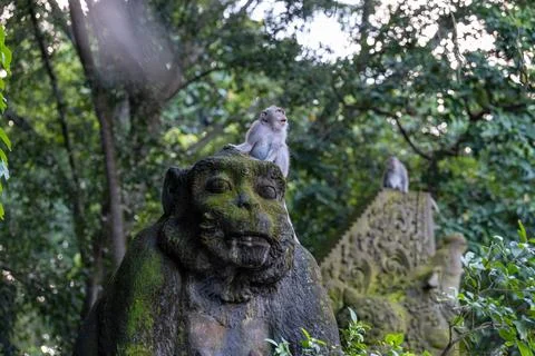 Long-tailed macaques resting on stone sculptures in Ubud Stock Photos