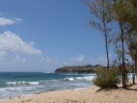 Long Take of a Private Beach in Kauai Stock-Footage 80391259
