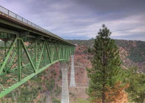 Long tall bridge pine tree Stock Photos